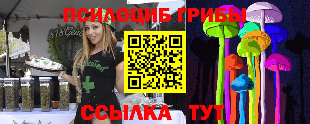 Псилоцибиновые грибы Psilocybe  Псилоцибиновые грибы мухоморы  Дубна  Вход с VPN 